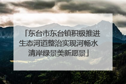 东台市东台镇积极推进生态河道整治实现河畅水清岸绿景美新愿景