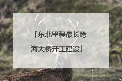 东北里程最长跨海大桥开工建设