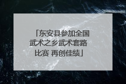 东安县参加全国武术之乡武术套路比赛 再创佳绩