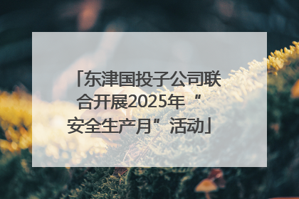 东津国投子公司联合开展2025年“安全生产月”活动