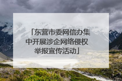 东营市委网信办集中开展涉企网络侵权举报宣传活动