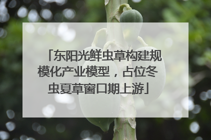 东阳光鲜虫草构建规模化产业模型，占位冬虫夏草窗口期上游