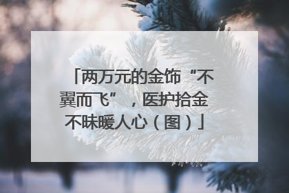 两万元的金饰“不翼而飞”，医护拾金不昧暖人心（图）