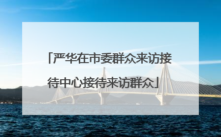 严华在市委群众来访接待中心接待来访群众