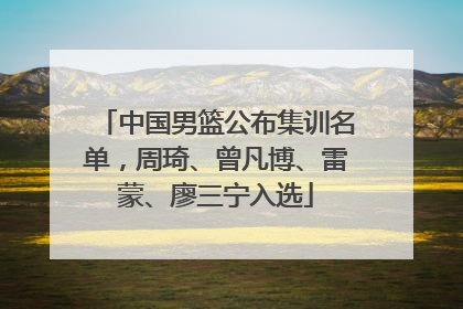 中国男篮公布集训名单，周琦、曾凡博、雷蒙、廖三宁入选