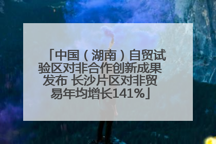 中国（湖南）自贸试验区对非合作创新成果发布 长沙片区对非贸易年均增长141%
