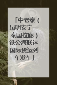 中老泰（昆明安宁—泰国拉廊）铁公海联运国际货运列车发车