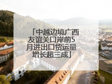 中越边境广西友谊关口岸前5月进出口货运量增长超三成