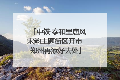 中铁·泰和里唐风宋韵主题街区开市 郑州再添好去处