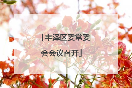 丰泽区委常委会会议召开