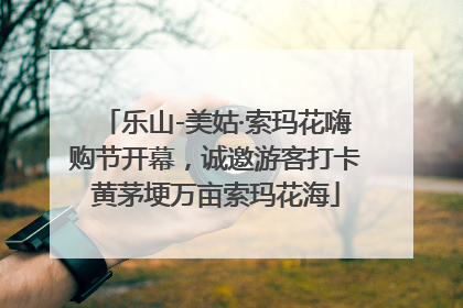 乐山-美姑·索玛花嗨购节开幕，诚邀游客打卡黄茅埂万亩索玛花海