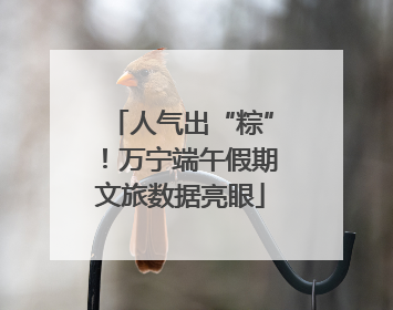人气出“粽”！万宁端午假期文旅数据亮眼