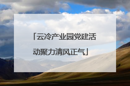 云冷产业园党建活动聚力清风正气
