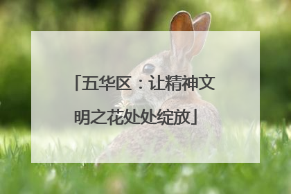 五华区：让精神文明之花处处绽放