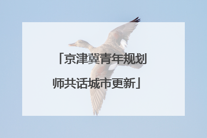 京津冀青年规划师共话城市更新