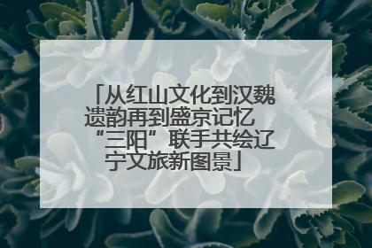 从红山文化到汉魏遗韵再到盛京记忆 “三阳”联手共绘辽宁文旅新图景