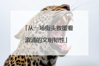 从一场街头救援看溆浦的文明韧性