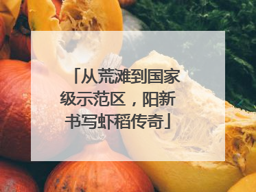 从荒滩到国家级示范区，阳新书写虾稻传奇