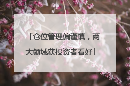 仓位管理偏谨慎，两大领域获投资者看好