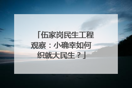 伍家岗民生工程观察：小确幸如何织就大民生？