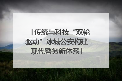 传统与科技“双轮驱动”冰城公安构建现代警务新体系