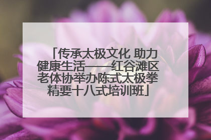 传承太极文化 助力健康生活——红谷滩区老体协举办陈式太极拳精要十八式培训班