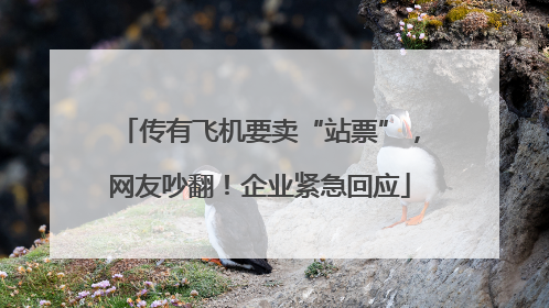 传有飞机要卖“站票”，网友吵翻！企业紧急回应
