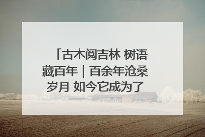 古木阅吉林 树语藏百年｜百余年沧桑岁月 如今它成为了“镇园之宝”