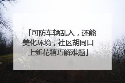 可防车辆乱入，还能美化环境，社区胡同口上新花箱巧解难题