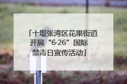 十堰张湾区花果街道开展“6·26”国际禁毒日宣传活动