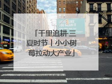 千里追耕·三夏时节丨小小树莓拉动大产业