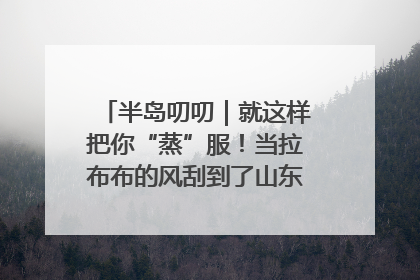 半岛叨叨｜就这样把你“蒸”服！当拉布布的风刮到了山东馒头界……
