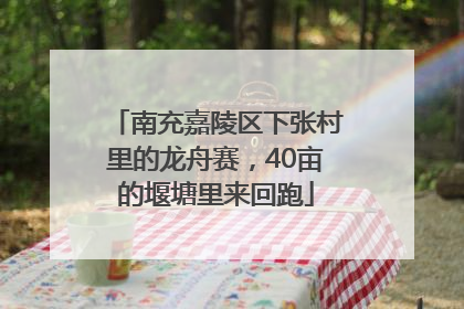 南充嘉陵区下张村里的龙舟赛，40亩的堰塘里来回跑