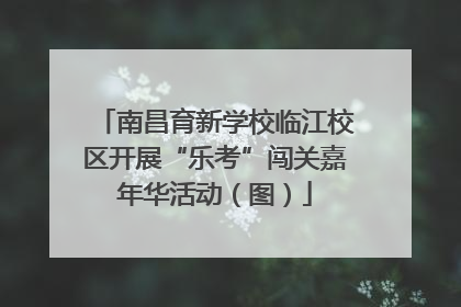 南昌育新学校临江校区开展“乐考”闯关嘉年华活动（图）