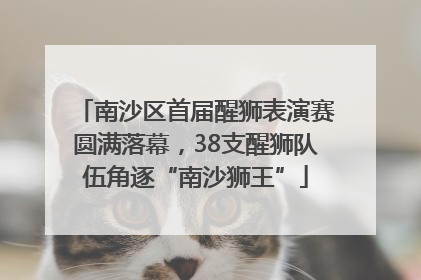 南沙区首届醒狮表演赛圆满落幕，38支醒狮队伍角逐“南沙狮王”