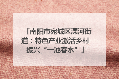 南阳市宛城区溧河街道：特色产业激活乡村振兴“一池春水”
