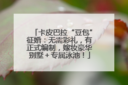 卡皮巴拉“豆包”征婚：无需彩礼，有正式编制，嫁妆豪华别墅＋专属泳池！