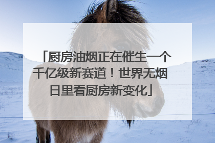 厨房油烟正在催生一个千亿级新赛道！世界无烟日里看厨房新变化