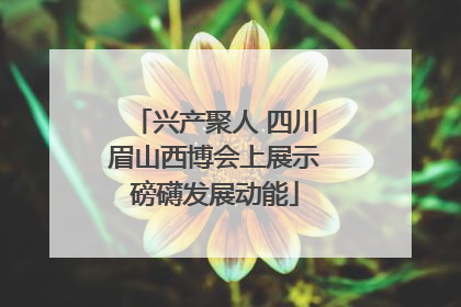 兴产聚人 四川眉山西博会上展示磅礴发展动能