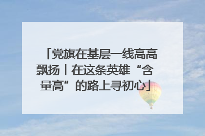 党旗在基层一线高高飘扬丨在这条英雄“含量高”的路上寻初心