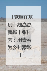 党旗在基层一线高高飘扬丨张桂芳：用青春为乡村添彩