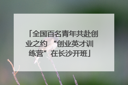 全国百名青年共赴创业之约 “创业英才训练营”在长沙开班