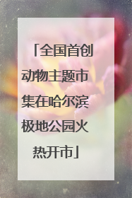 全国首创动物主题市集在哈尔滨极地公园火热开市