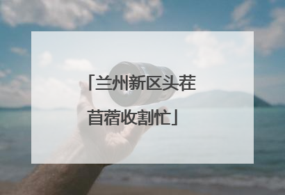 兰州新区头茬苜蓿收割忙
