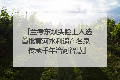 兰考东坝头险工入选首批黄河水利遗产名录 传承千年治河智慧