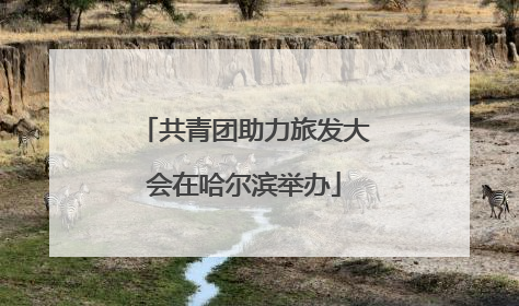 共青团助力旅发大会在哈尔滨举办