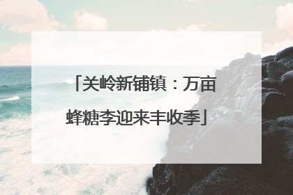关岭新铺镇：万亩蜂糖李迎来丰收季