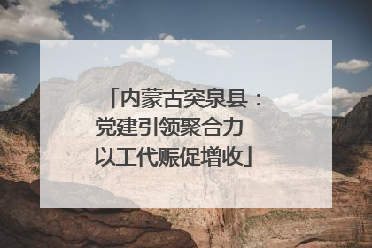 内蒙古突泉县：党建引领聚合力 以工代赈促增收