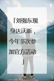 刘强东现身达沃斯，今年多次参加官方活动