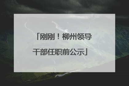 刚刚！柳州领导干部任职前公示